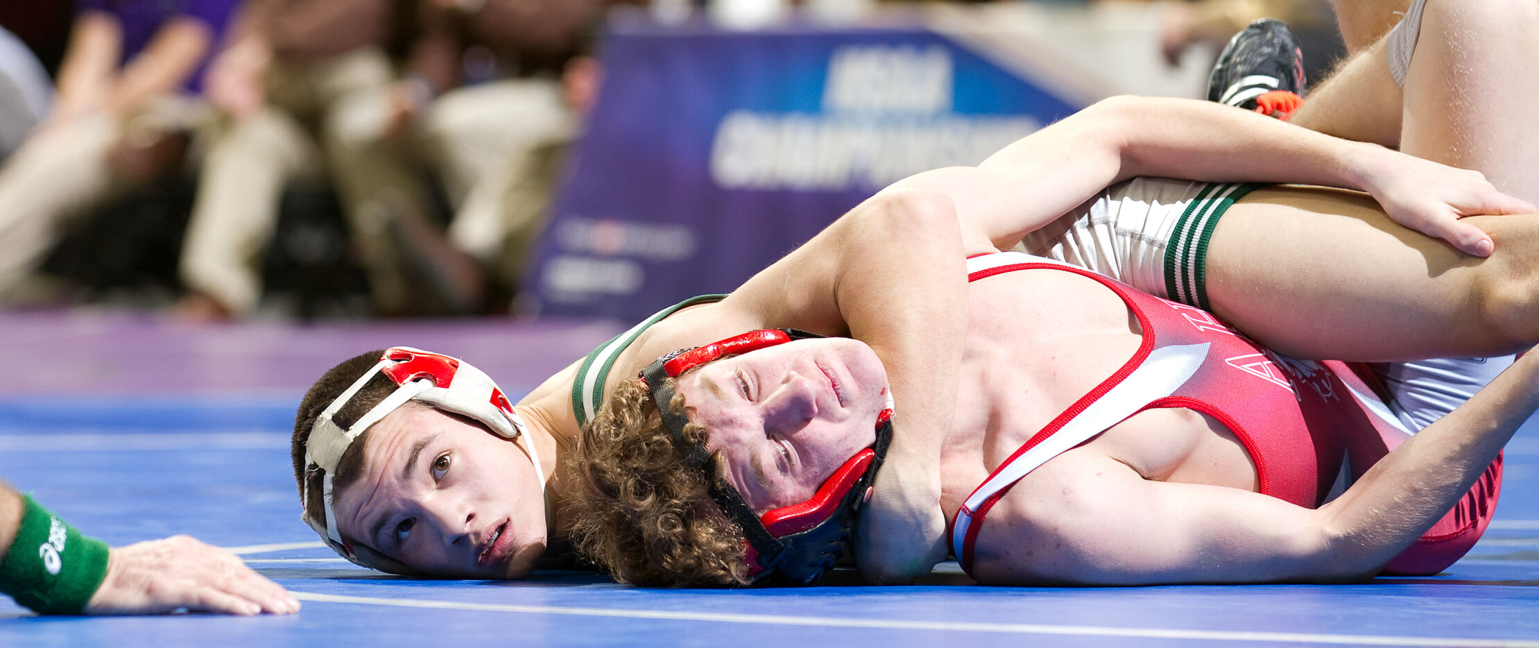 Gilman006.jpg